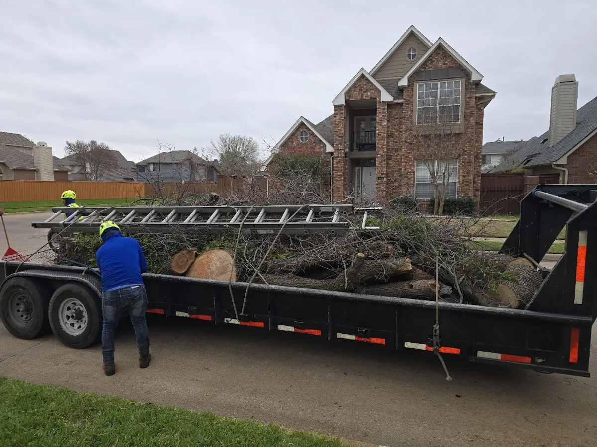 Expert Crown Reduction with proper safety equipment in Summerfield
